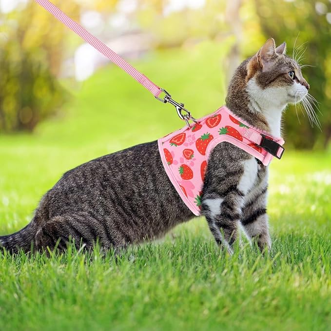 PUPTECK Soft Mesh Cat Vest Harness and Leash Set Puppy Padded Pet Harnesses Escape Proof for Cats Small Dogs Rabbits Bunny