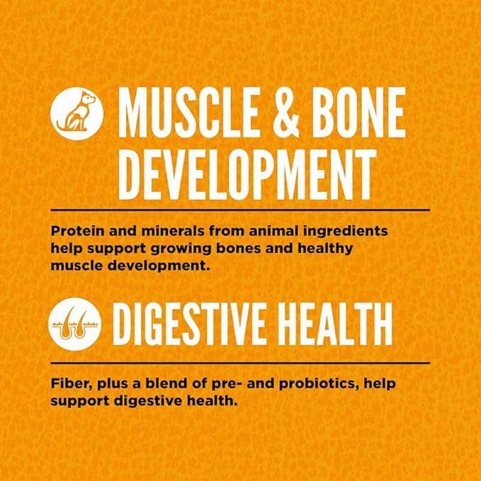 ORIJEN Grain Free High Protein Dry Dog Food Puppy Recipe 13lb Bag