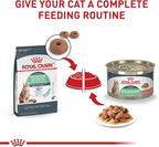 Royal Canin Feline Digestive Care Thin Slices in Gravy Wet Cat Food, 5.1 oz can (24-Count)