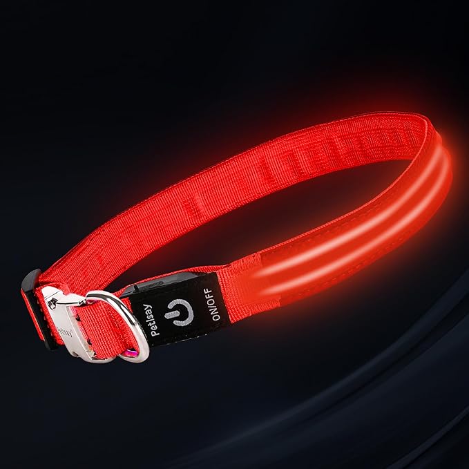 LED Dog Collar with Metal Buckle - USB Rechargeable Glow Collar for Dogs, Waterproof Light Up Dog Collar w/Reflective Strips - Adjustable Night Safety Collars by PetIsay(Red,Large)