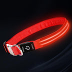 LED Dog Collar with Metal Buckle - USB Rechargeable Glow Collar for Dogs, Waterproof Light Up Dog Collar w/Reflective Strips - Adjustable Night Safety Collars by PetIsay(Red, Small)