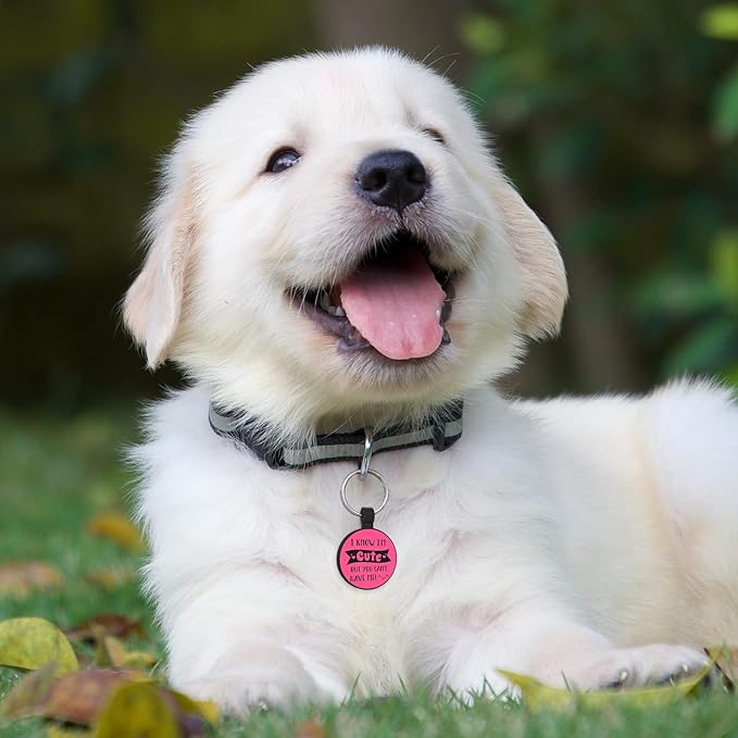 MYLUCKYTAG QR Code Silicone Pet ID Tag for Dogs and Cats - Online Profile, Location Alert Email, Digital Tag, Quiet and Durable Collar Tag, Engraved