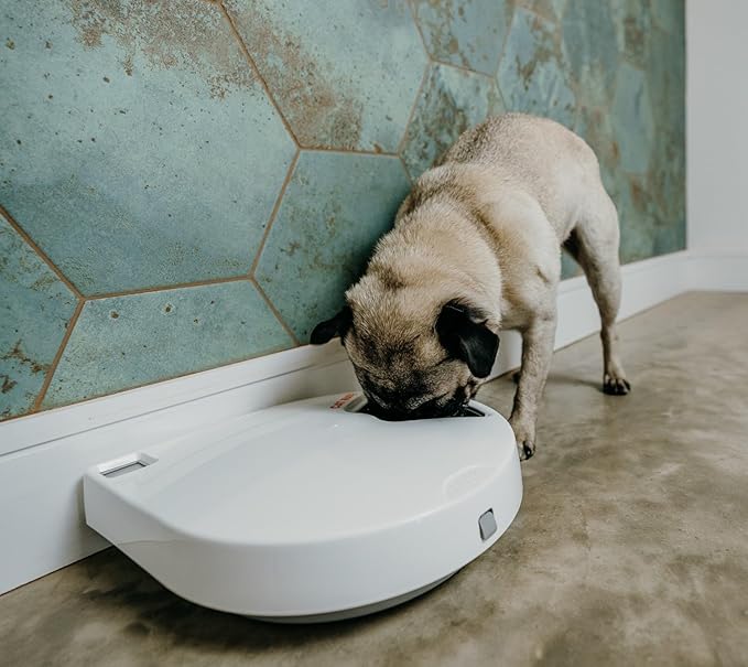 Cat Mate C500 - 5 Meal Digital Automatic Feeder with Ice Packs for Cats and Small Dogs