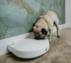 Cat Mate C500 - 5 Meal Digital Automatic Feeder with Ice Packs for Cats and Small Dogs