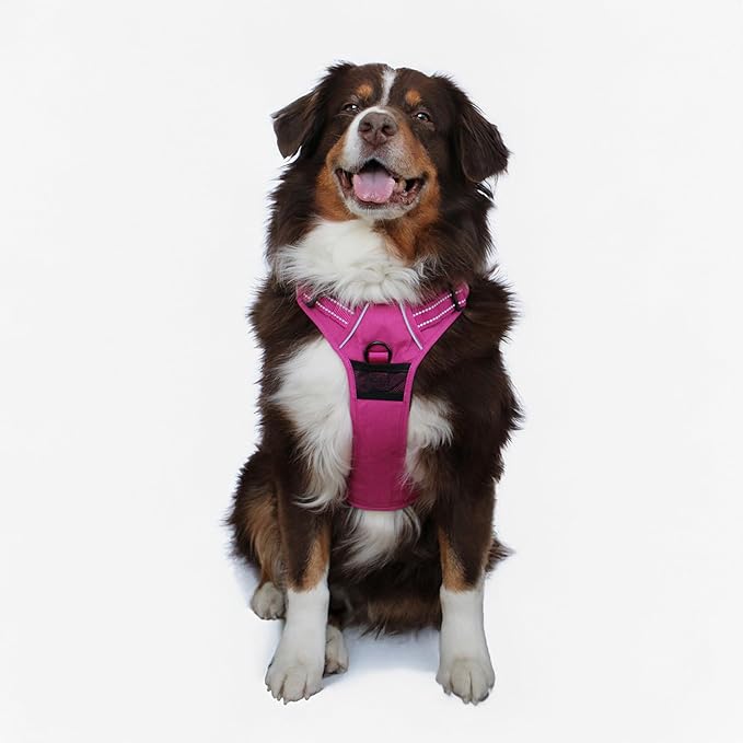 Doggie Design Venture Paw No Pull Dog Harness - Simple Adjustable Puppy Harness - Anti Pull Dog Collar for Walks and Outdoor Adventures - Wild Raspberry, XL