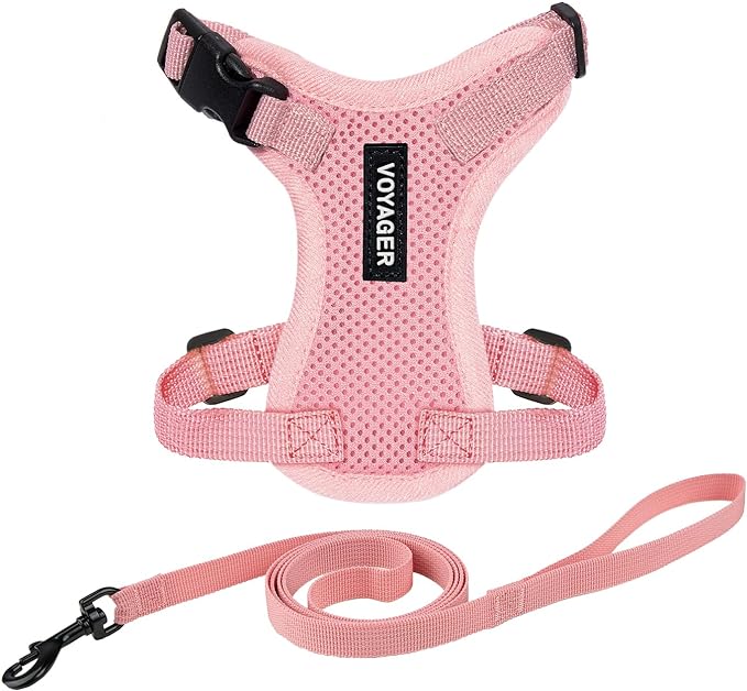 Voyager Escape-Proof Step-in Lock Cat Harness & 5ft Neoprene-Handle Leash Set All-Weather Mesh with Reflective Stitching for Small to Large Cats by Best Pet Supplies, Pink, XXXS