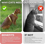 Cat Harness and Leash Set - Pink Lightweight Soft Kitten Harness Escape Proof, Adjustable Travel Pet Harness for Walking，Easy Control Comfortable Outdoor (Pink, One Size Fits All)