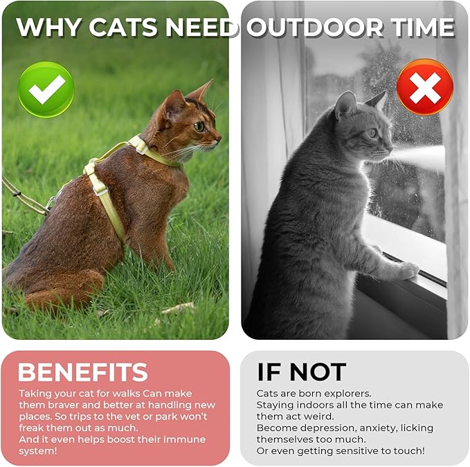 Cat Harness and Leash Set - Pink Lightweight Soft Kitten Harness Escape Proof, Adjustable Travel Pet Harness for Walking，Easy Control Comfortable Outdoor (Pink, One Size Fits All)