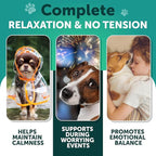 Hemp Calming Chews for Dogs - Dog Calming Chews - Dog Anxiety Relief Treats with Hemp Oil, Turmeric, Valerian, Ginger - Health and Wellness Supplements for Dogs - Hip and Joint Support - 70 Treats