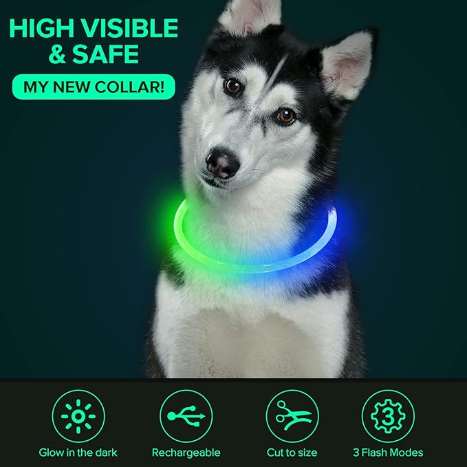 Colaseeme LED Dog Collar Light Up Dog Collars 1 Count USB Rechargeable TPU Glow Safety Basic Dog Collars for Large Medium Small Dogs (Green + Blue)