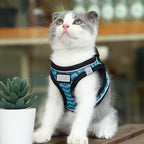 Cat Harness and Leash Set for Walking and Small Dog Soft Mesh Harness Adjustable Vest with Reflective Strap Comfort Fit for Pet Kitten Puppy Rabbit （Blue Stripe,XS）