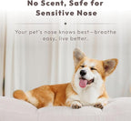 Pet Odor Eliminator Spray – Instantly Destroys Odors & Pet Smells by Innovated Ti-Oxy™. Non-toxic, Fragrance-free & Safe for Pets, Home Use. Works on Urine, Litter Boxes, Carpets -10oz