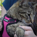 Voyager Escape-Proof Step-in Lock Cat Harness & 5ft Neoprene-Handle Leash Set All-Weather Mesh with Reflective Stitching for Small to Large Cats by Best Pet Supplies, Fuchsia/Black Trim, S