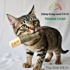 Nestpark Cat Doobie Catnip Cat Toy - Crinkle Kitten Kicker with Extra Strong Catnip - Funny Interactive Cat Toy Indoor Cat Gifts