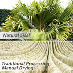 Sisal Rope 6mm for Cat Scratcher Repair and Replace Cat Scratching Post, DIY Scratching Furniture - Cat Tree, Scratch Carpet & Mat, Cat Kicker Toys, Black 164ft/50m