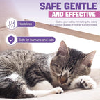 Cat Pheromones Calming Diffuser Refill 6 Pack Multicat Pheromone Diffusers Refills Relieve Anxiety Stress Reduce Spraying Fighting and Scratching for Cats Calm 48ml Fit All Common Diffusers Plug In