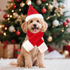 2 Pcs Pet Christmas Hat and Scarf Set, Santa Costume Accessories for Small Dogs and Cats, Adjustable Holiday Outfit for Puppy Kitten Xmas Party and Winter Dress Up