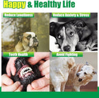 EXPAWLORER Squeaky Tennis Balls for Dogs-12 Pack High Elastic Dog Balls for Aggressive Chewers,Interactive Dog Chew Toys for Training, Fetching, Chewing, Playing for Dogs Christmas Toys