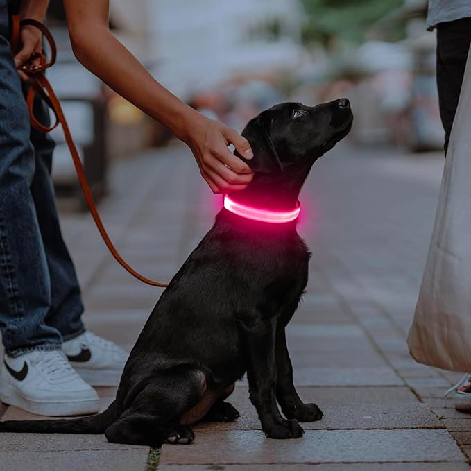 Illumifun LED Dog Collar USB Rechargeable Light Up Dog Collar, Water-Resistant Adjustable Safety Collar Light for Small Medium Large Dogs Glow in The Dark (Pink, Large)