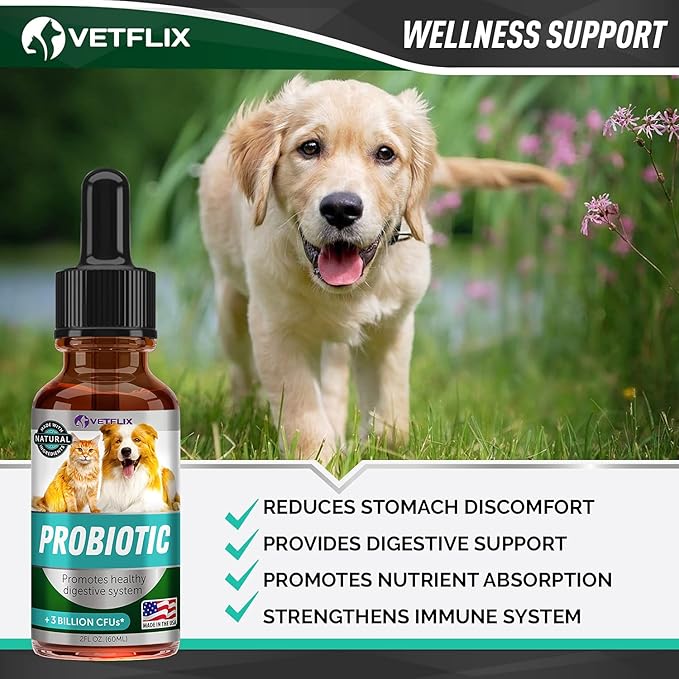 Premium Probiotics for Dogs & Cats - Digestive Enzymes & Prebiotics Supplement - Supports Digestive Health & Gut Balance - 2 Fl Oz