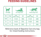 Royal Canin Feline Care Nutrition Digestive Care Adult Loaf in Sauce Cat Food, 5.1 oz (Pack of 24)
