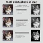 Generic Customized Memorial Stone Plaque for Cat, Pets, Dog, Personalized Engraved Gravestone for Lost Loved One, Mini Tombstone,Temporary Grave Marker for Cemetery (Black)