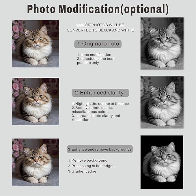 Generic Customized Memorial Stone Plaque for Cat, Pets, Dog, Personalized Engraved Gravestone for Lost Loved One, Mini Tombstone,Temporary Grave Marker for Cemetery (Black)