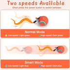 Interactive Cat Toy Ball - Motion-Activated, USB Rechargeable Cat Toys for Indoor Cats with Anti-Scratch Cover & 2 Changeable Tails - Enrichment Toy for Active Cats & Kittens