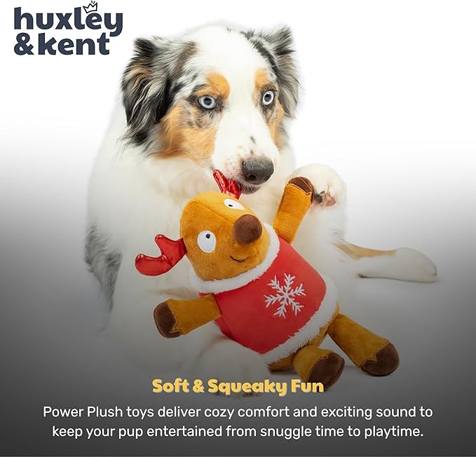 Huxley & Kent Funny Dog Toy w/Squeaker – Holiday Power Plush Squeaky Dog Toys for Small, Medium & Large Dogs – Soft Stuffed Animal for Indoor Play & Fetch - Rocky Reindeer, Small