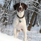 Personalized Dog Tags - Custom QR Code Pet ID Tags - Free Online Scan for Instant Pet Location Alert Email