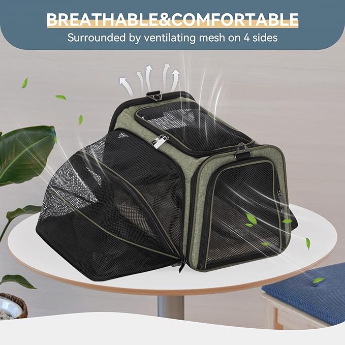 Petsfit Expandable Cat Carrier Dog Carrier, Soft-Sided Collapsible Portable Pet Carrier, 19x12x12, Green