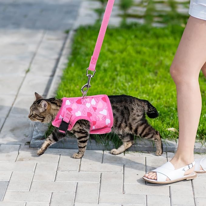 BINGPET Cat Harness and Leash Set Escape Proof for Walking,Step-in Harness with Lightweight Soft Breathable Mesh,Adjustable Easy Control Harness for Kitten Puppy Small Medium Large Cats(Heart,M)
