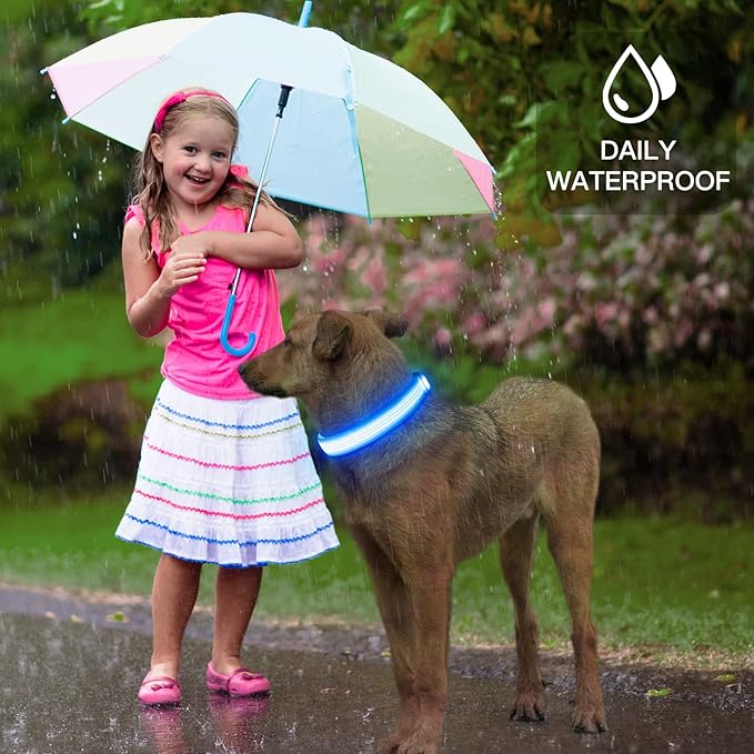 YFbrite Light up Dog Collar, USB Rechargeable LED Puppy Collar Super Bright Adjustable Glowing Dog Lights for Night Walking (Design-2- Blue, Large)