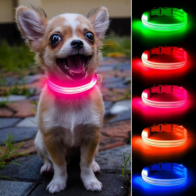 Light Up Collar for Small Dogs& Cats, Reflective LED Dog Collar Rechargeable Puppy Safety Lights for Nighttime Walking (Pink)