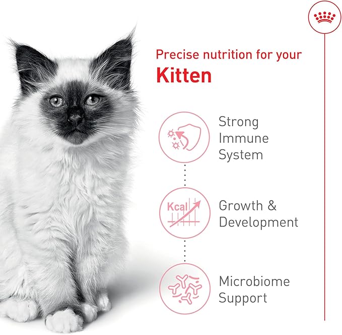 Royal Canin Feline Health Nutrition Dry Kitten Food, Supports Digestive Health, Immune Support and Healthy Energy, 14 lb Bag