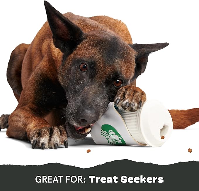 Barkbox Pupkin Spice Latte Plush Dog Toy – Plush Dog Toys – Puppy and Pet Toys for Medium to Large Dogs