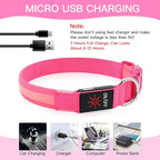 YFbrite Light up Dog Collar, USB Rechargeable LED Puppy Collar Super Bright Adjustable Glowing Dog Lights for Night Walking (Design 2- Pink, Large)