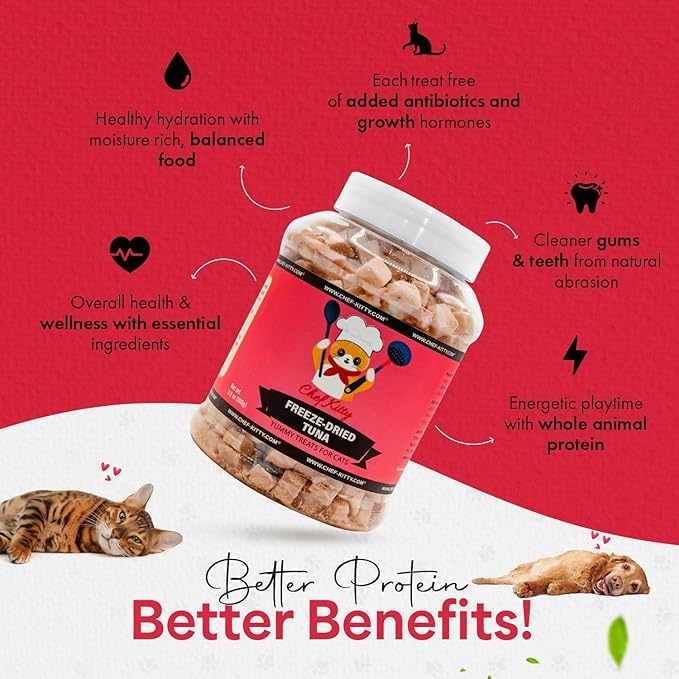 Freeze Dried Tuna Treats for Cats and Dogs + Training Waffle Treats - Healthy, Tasty, Dry Food for Indoor Cats, Kittens, Dogs - Inspected & Tested in USA