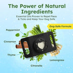 BugMD Paw Guardian Flea & Tick Pendant (2-Pack) with AirTag Holder – Plant-Based Flea & Tick Prevention for Dogs – Pet Collar Tag & GPS Tracker Holder for Dogs – Black