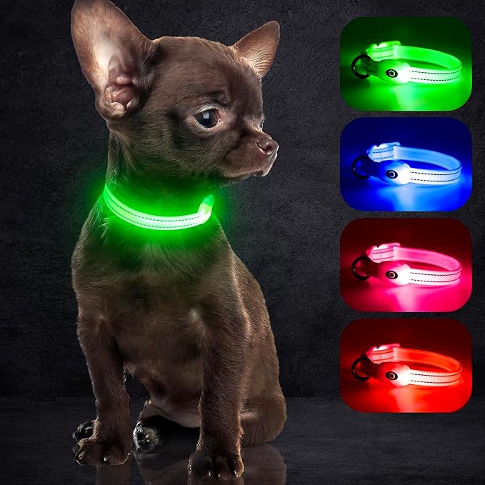 YFbrite Light up Dog Collars, USB Rechargeable LED Dog Collar, Adjustable LED Cat Collar, Durable Flashing Collar for Cats, Puppy, Small, Medium, Large Dogs (Green, XS)