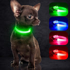 YFbrite Light up Dog Collars, USB Rechargeable LED Dog Collar, Adjustable LED Cat Collar, Durable Flashing Collar for Cats, Puppy, Small, Medium, Large Dogs (Green, XS)