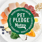 Nutro Ultra Large Breed Puppy Dry Dog Food, Chicken, Lamb and Salmon Protein Trio, 22 lb Bag