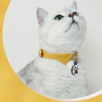 QR Code Cat Tag, Modifiable Pet Online Profile, Multiple Emergency Contact, Scannable QR Code, Instant Location Email Alert (Small Breeds - 1", Black & Orange & Red & Green)