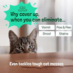 Sunny & Honey Pet Stain & Odor Miracle - 1 Gallon (128 Fl Oz), Spring Mint Scent - Carpet Shampoo, Cat Pee Enzyme Cleaner & Carpet Spot Remover for Upholstery & Mattress