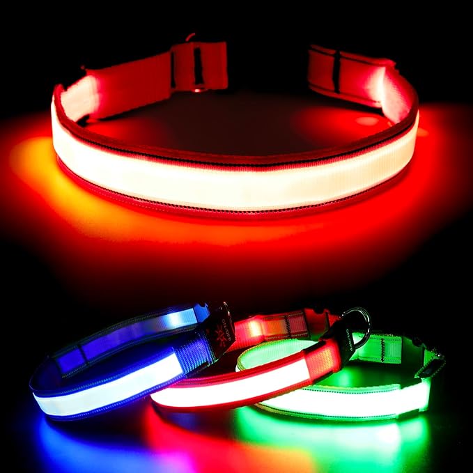 Visinite LED Dog Collar USB Rechargeable, Reflective Light Up Pet Collar for Night Walking, Adjustable Glow Collar for Small Medium Large Dogs(Red, M)