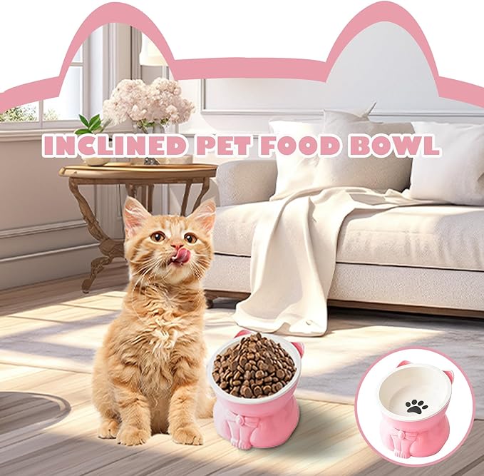 Ceramic Raised Cat Bowl - 5 Inch Tilted Design for Indoor Cats, Anti-Vomiting & Whisker Fatigue Relief, Non-Slip Base, Pink