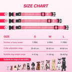 RUXAN Light Up Dog Collar,Dog Lights for Night Walking,LED Collars Waterproof,Glow Dog Collars Rechargeable,Glow in The Dark Dog Collar,Dog Collars Light for Small,Medium,Large Dogs (Small,Pink)