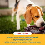 123 Treats Goat Horns for Dogs Chews 9-11 inches (2 Count - Large) 100% Natural Long Lasting chew for Dogs