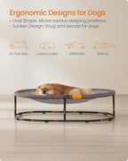 Feandrea Pet Bed, Cat Hammock, Elevated Cat Bed for Multiple Cats, with Removable Washable Mesh, for Pets up to 40 lb, Oval, Gray UPCB003G01