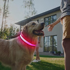 Multi-Color Light up Dog Collar, YFbrite USB Rechargeable LED Puppy Collar Super Bright Adjustable Glowing Dog Lights for Night Walking (Multi-Color, Large)